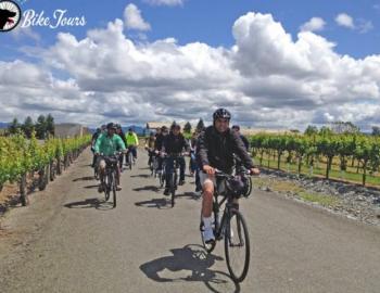 Ace It Bike Tours Vineyard Tour