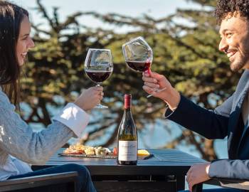 Sonoma Coast Vineyards