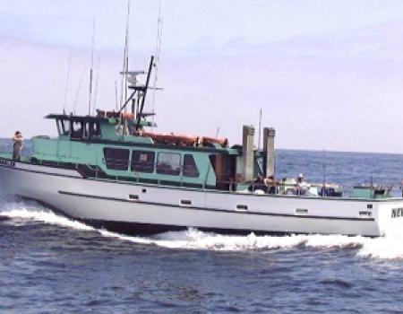 New Sea Angler Fishing Charter