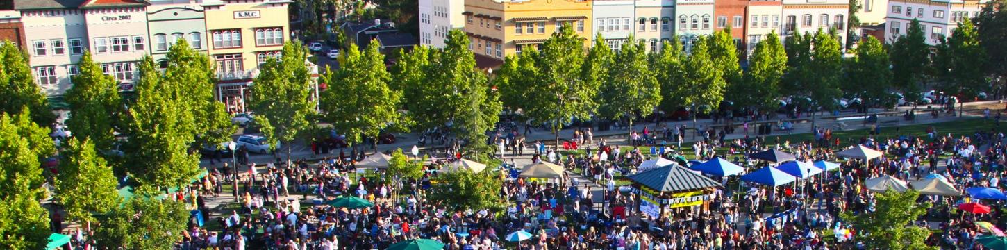 Windsor Town Green Crowd Image