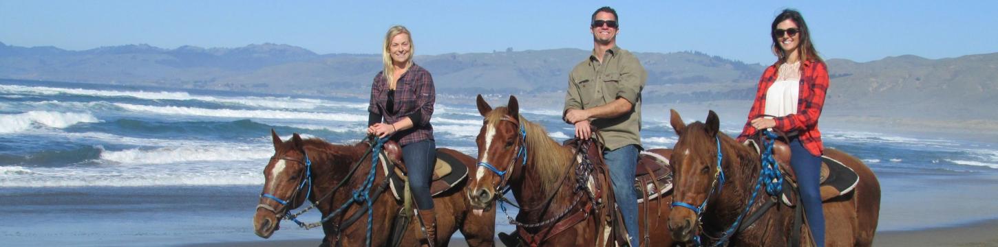 Horse N Around Trail Rides